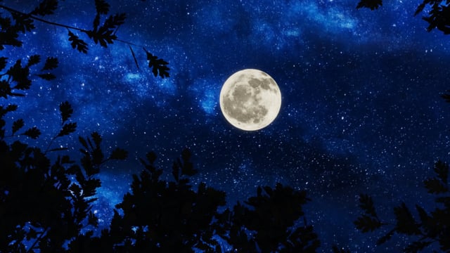 Một bức ảnh rất độc đáo đã được chụp lại với mặt trăng lấp lánh, hàng cây rợp bóng và những vì sao đẹp nhất trên bầu trời đêm. Hãy nhấn vào và chiêm ngưỡng hình ảnh tuyệt đẹp này.