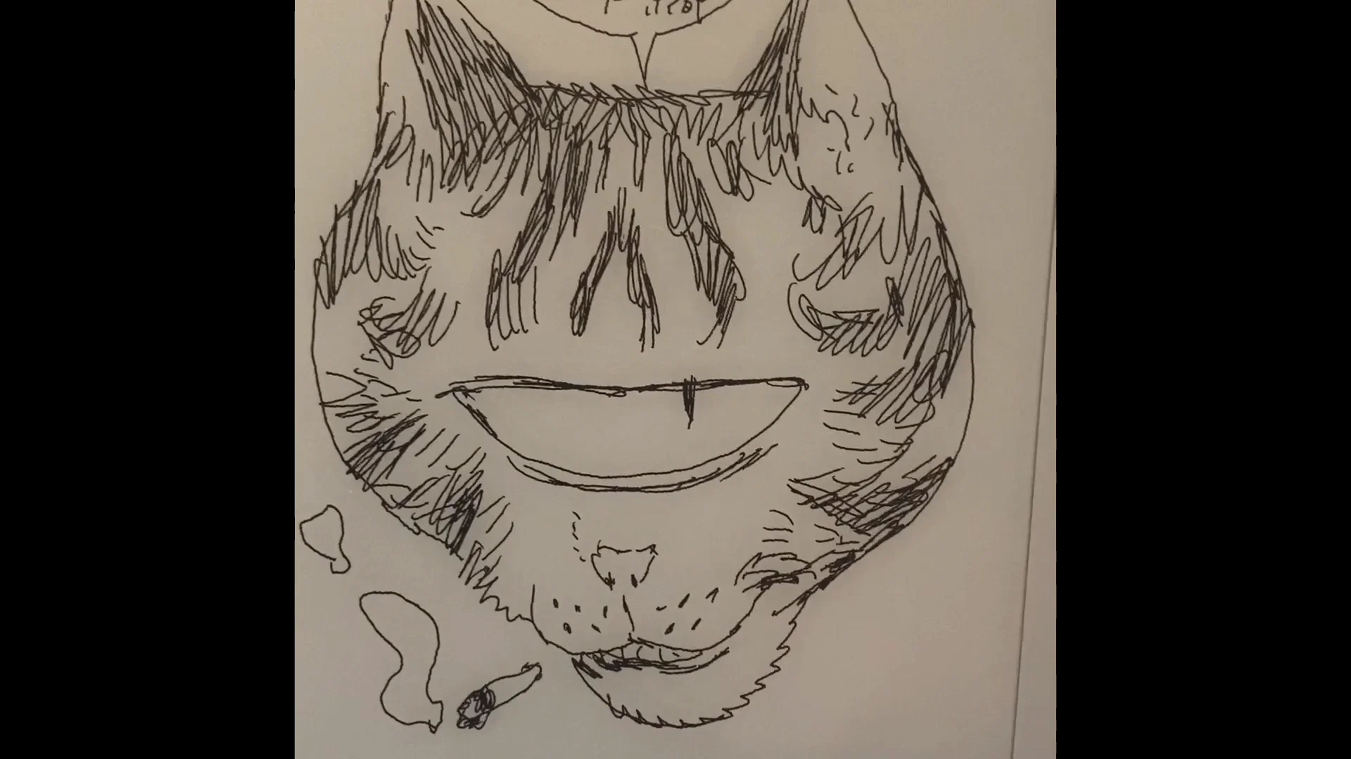 ゲイリーザキャット」京都トランスポップギャラリーで寺田克也個展