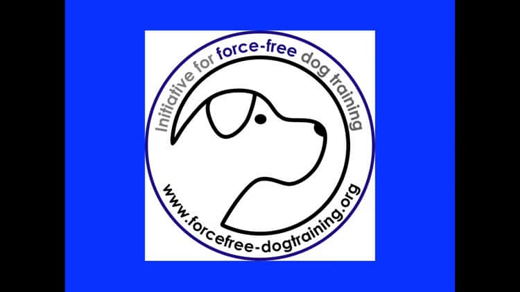 Force Free Dog Training