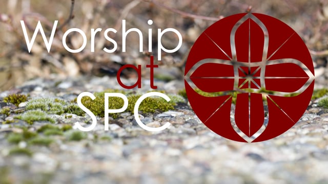 Worship at SPC || March 28, 2021 || Palms and Donkeys