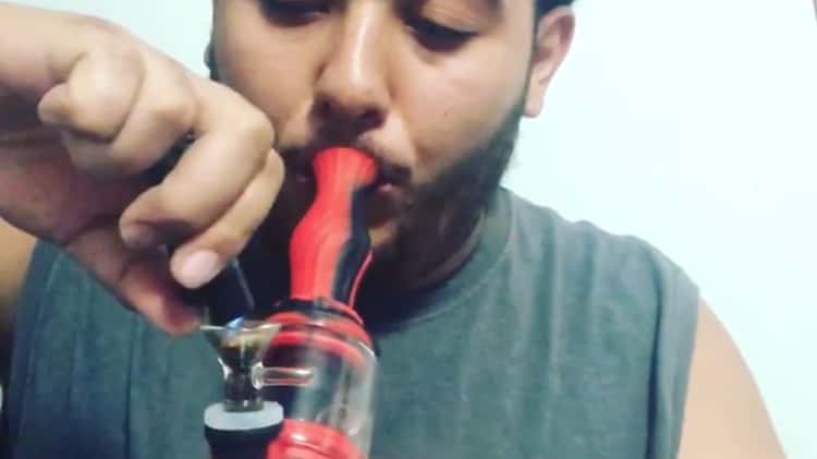 Waxmaid  Horn Silicone Glass Water Pipe