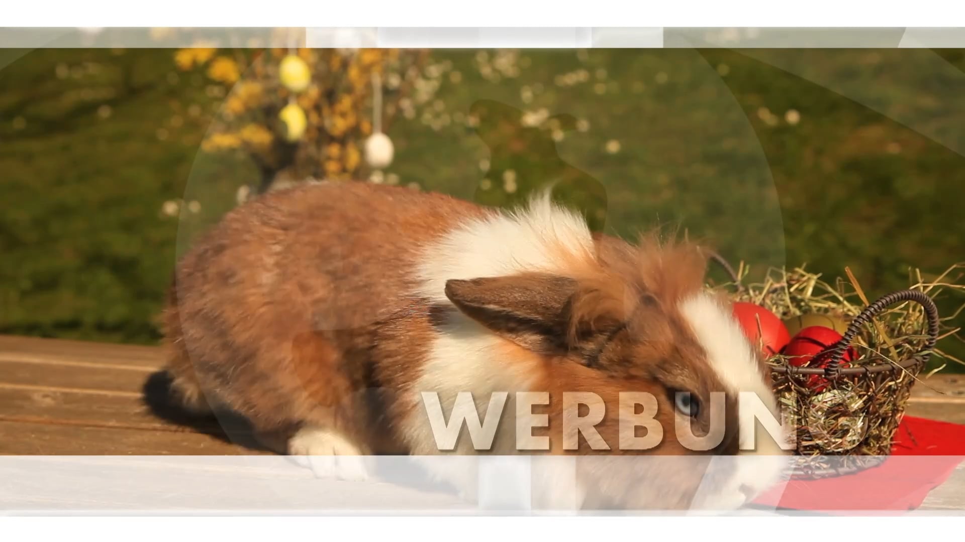 werbung-salzburg-magazin-30-03-2021