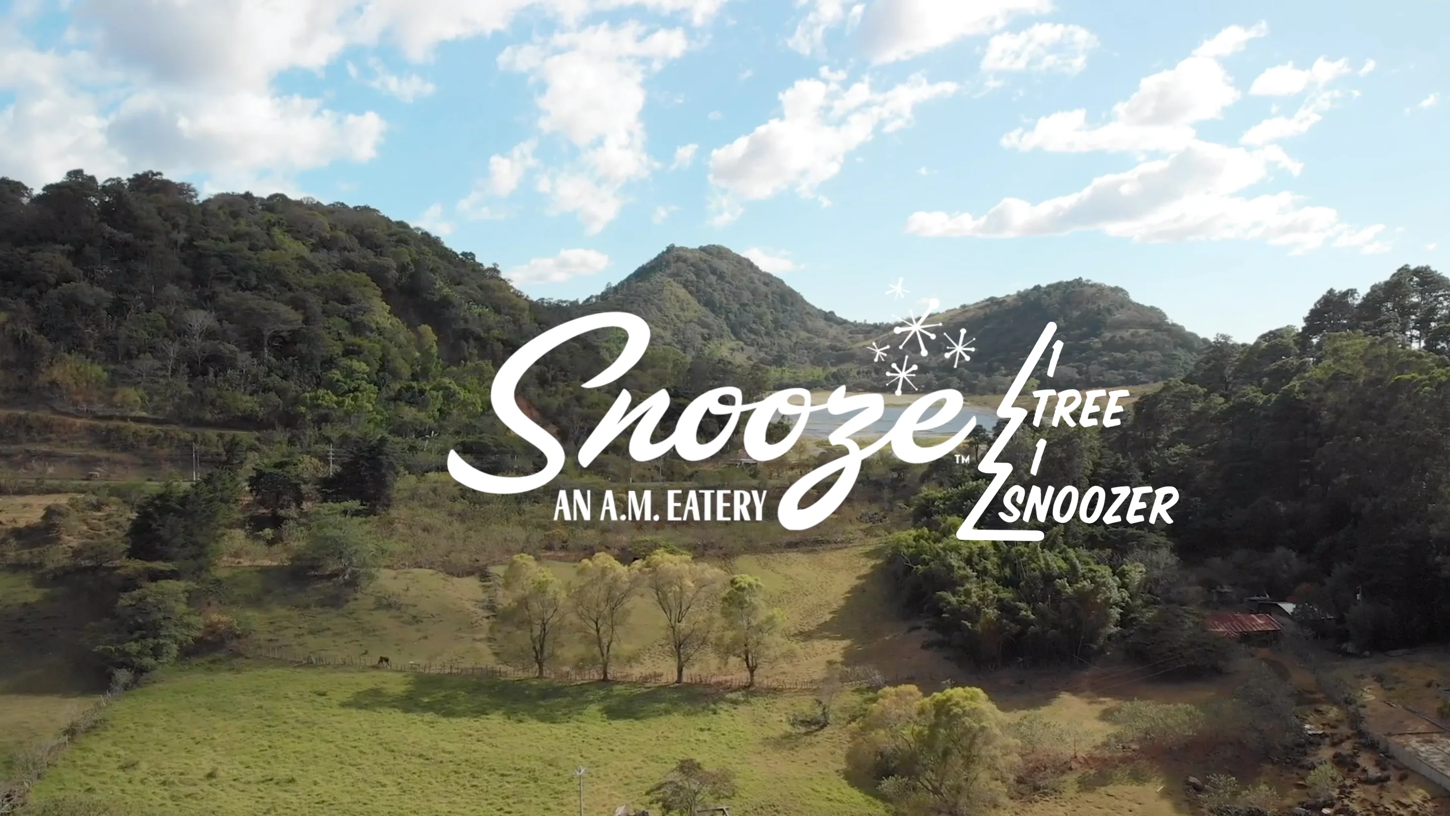 Snooze’s 1 Tree 1 Snoozer Initiative: Taking On Climate Change on Vimeo
