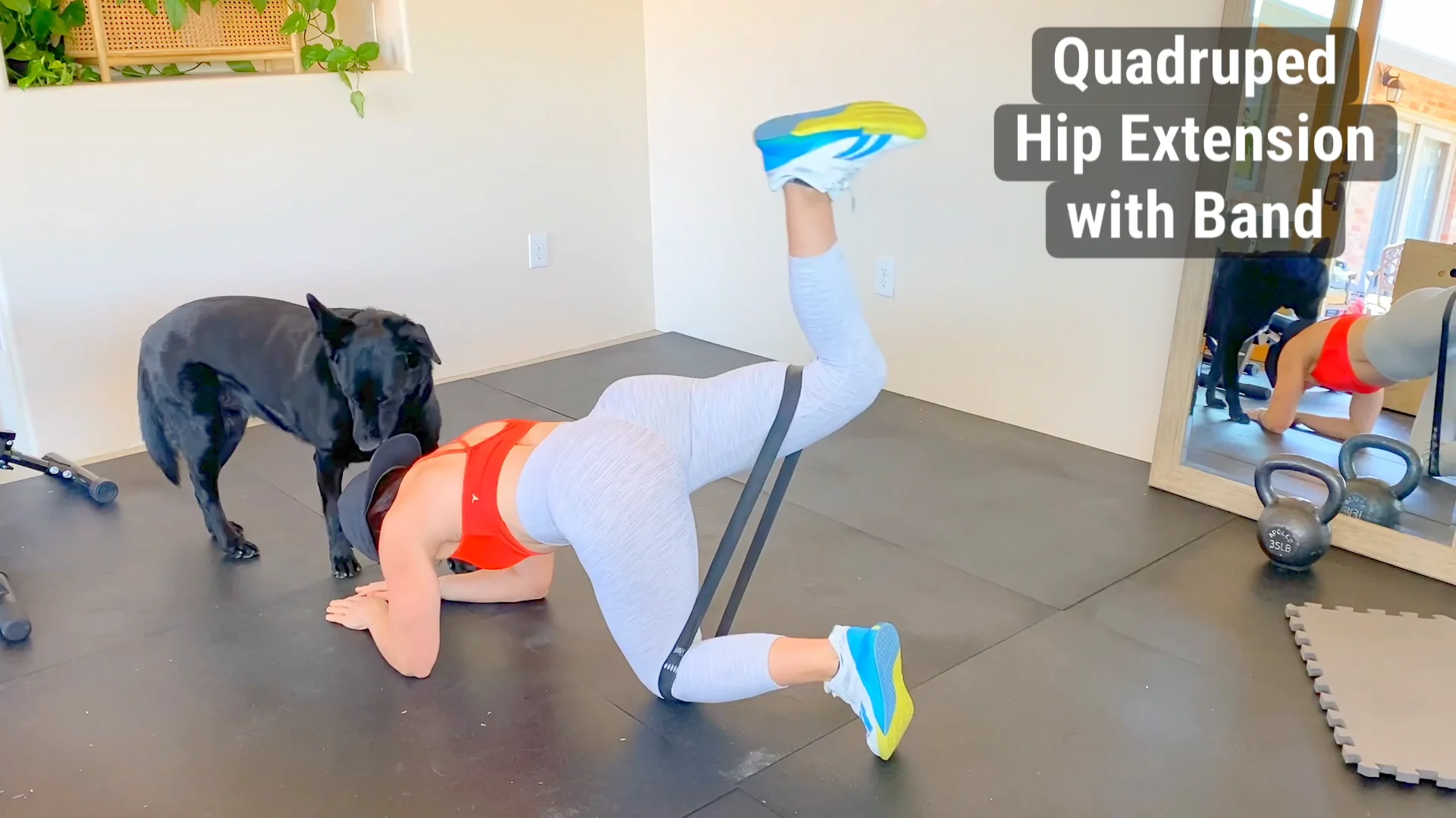 Hip extension with discount band