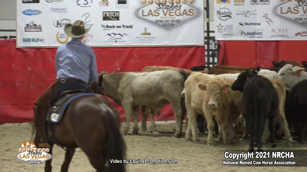 Hott Rod shown by Corey D. Cushing 2021 NRCHA Stallion Stakes (Open