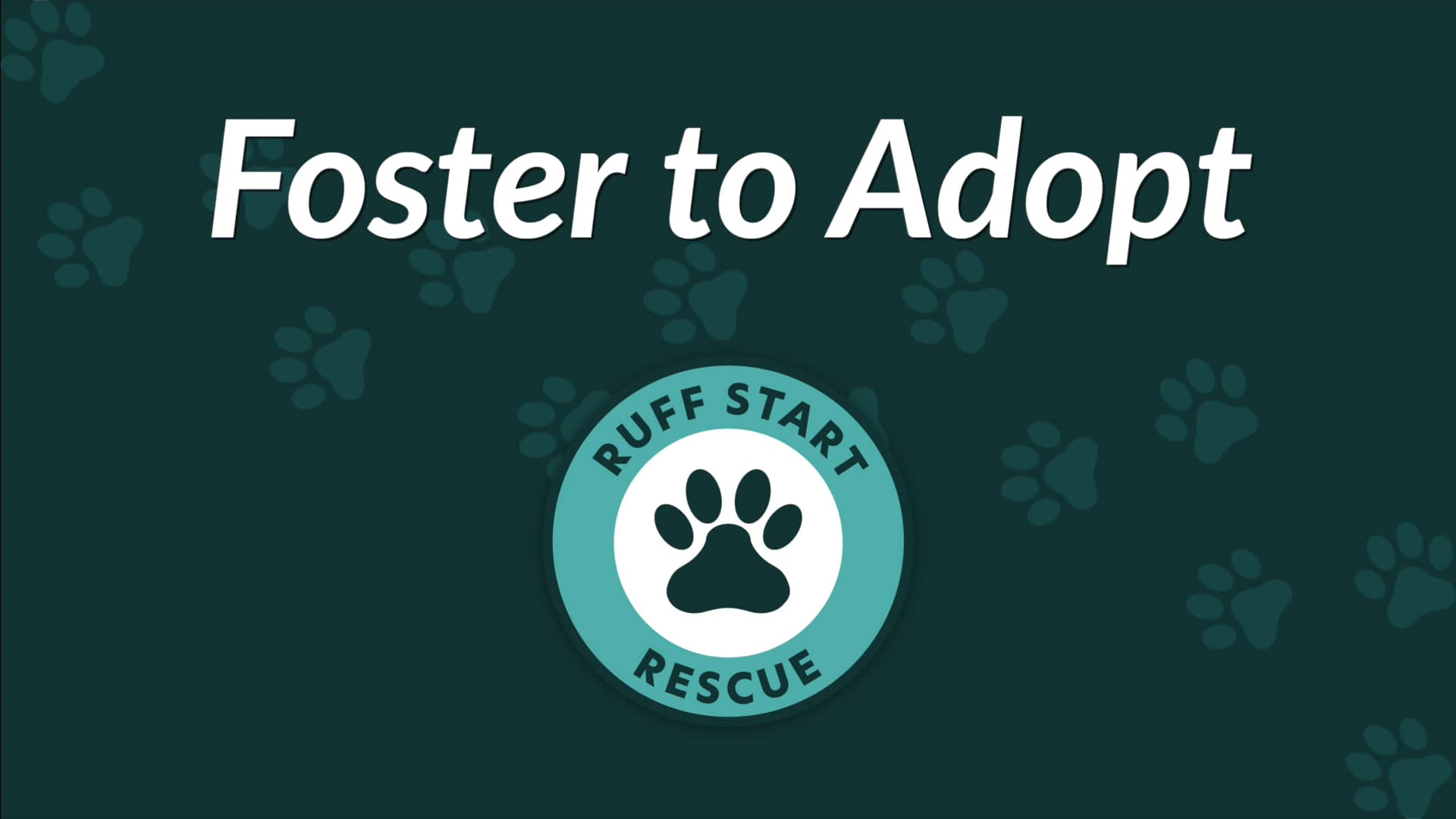 Foster To Adopt On Vimeo