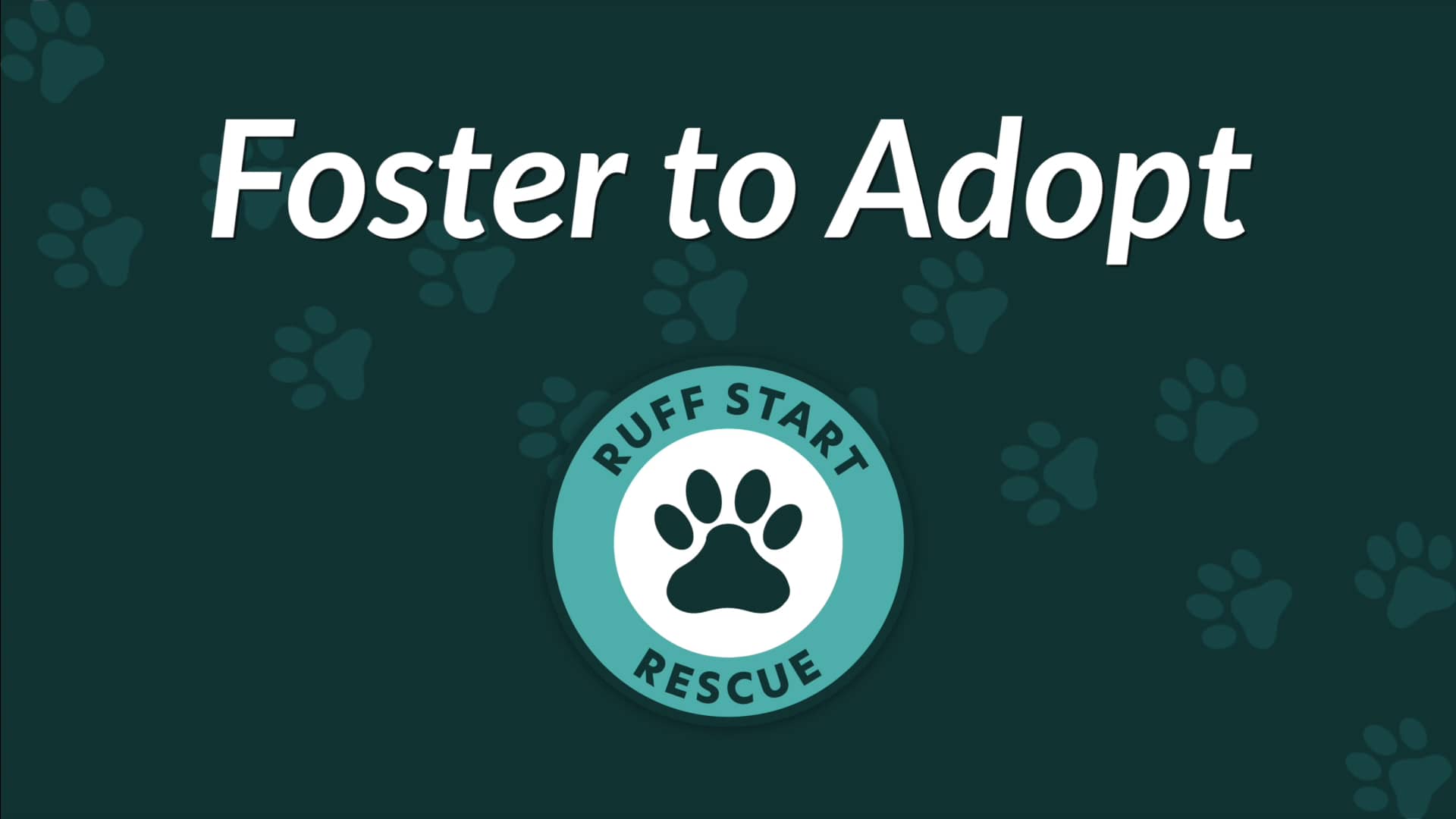 Foster to Adopt on Vimeo