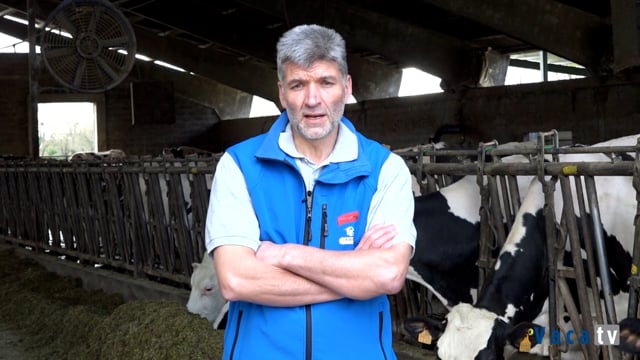 Relación alimentación-reproducción. Importancia dos conservantes do silo