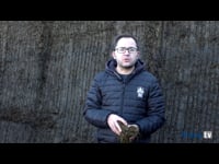 Recomendaciones para conseguir un buen ensilado