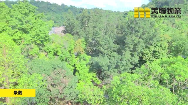 涤涛山 大埔 1514736 售盘