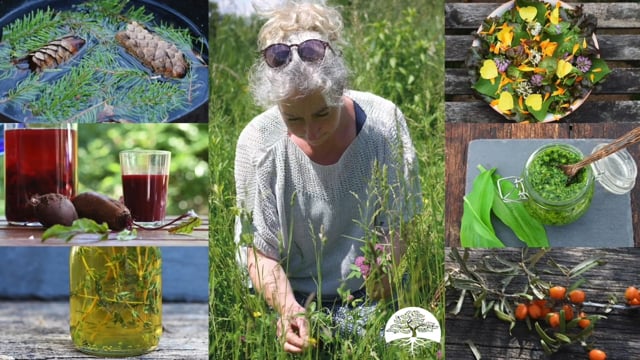 Compilatie lessen 2e jaar Online jaarcursus Natuurlijk Leven