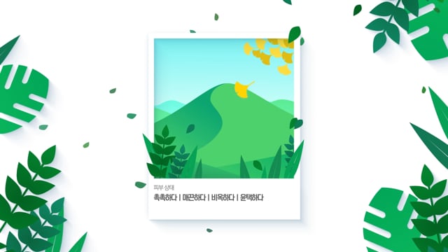 잇츠스킨 (It's Skin) 파워10 이펙터