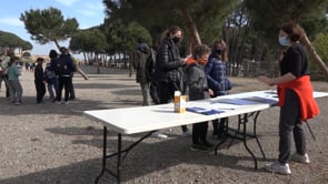 Tornen els visitants al MAC Empúries