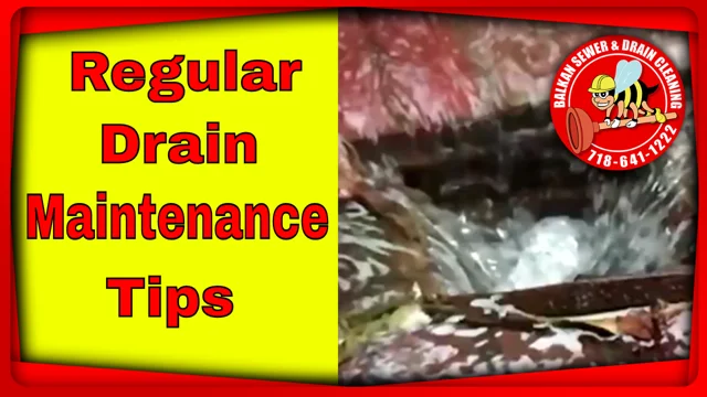 Clogged Bath Tub Drain Prevention And Cures - Balkan Drain Cleaning