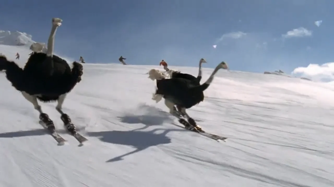 Maison Hanko - Triple Jump, directed by Hideyuki Tanaka | Videos