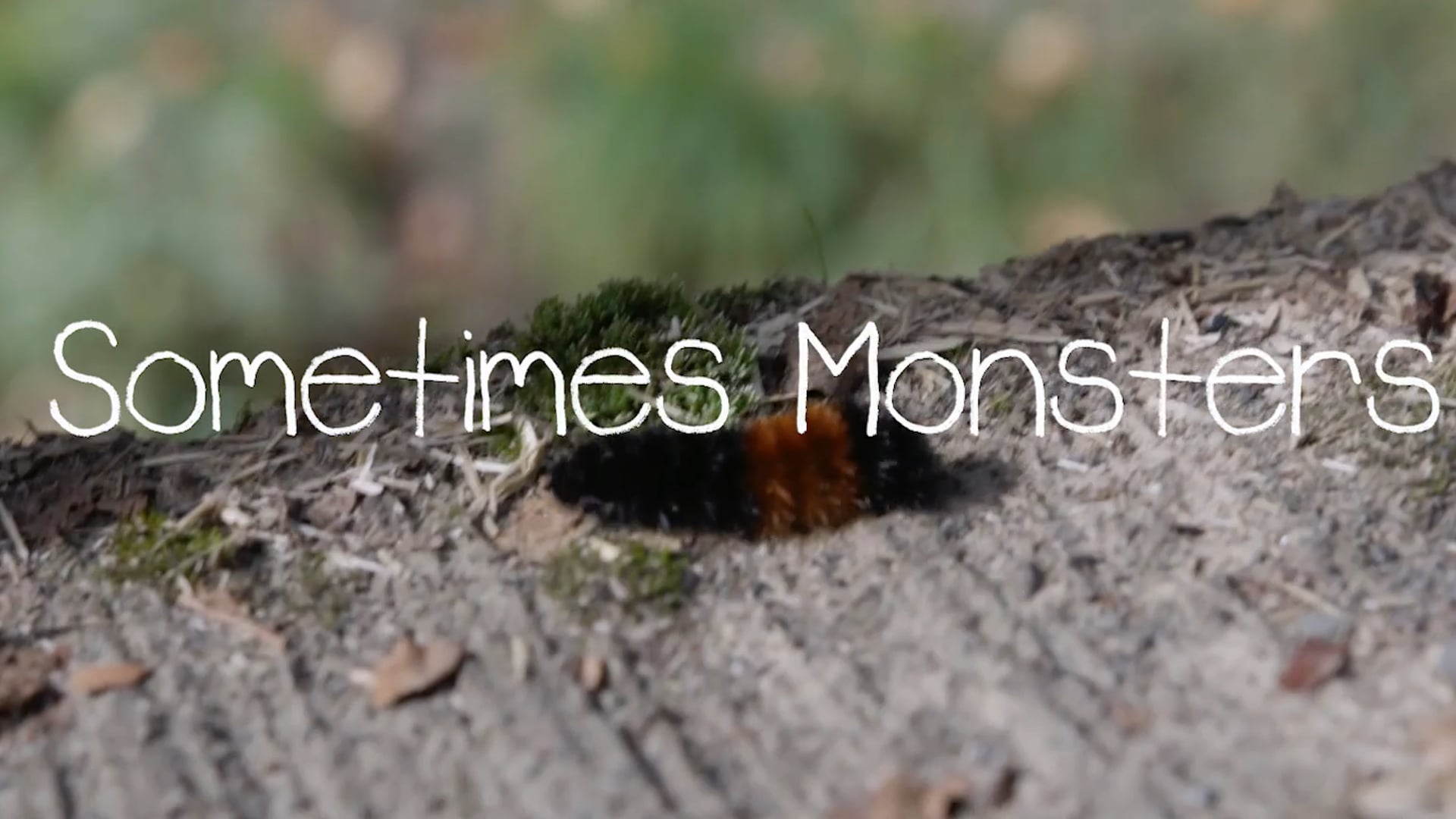 Sometimes Monsters