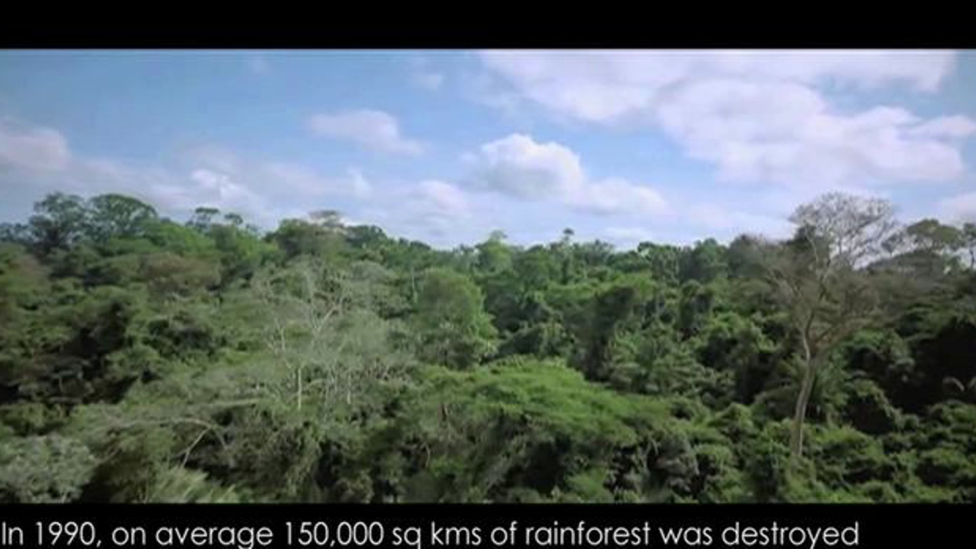 Destruction of the Amazon Rainforest