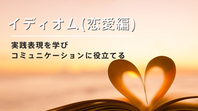 ５５％以上節約 【稀少】英語会話 イディオム集 参考書 - jandira.sp