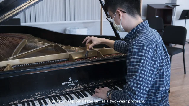 Gap deals factory steinway