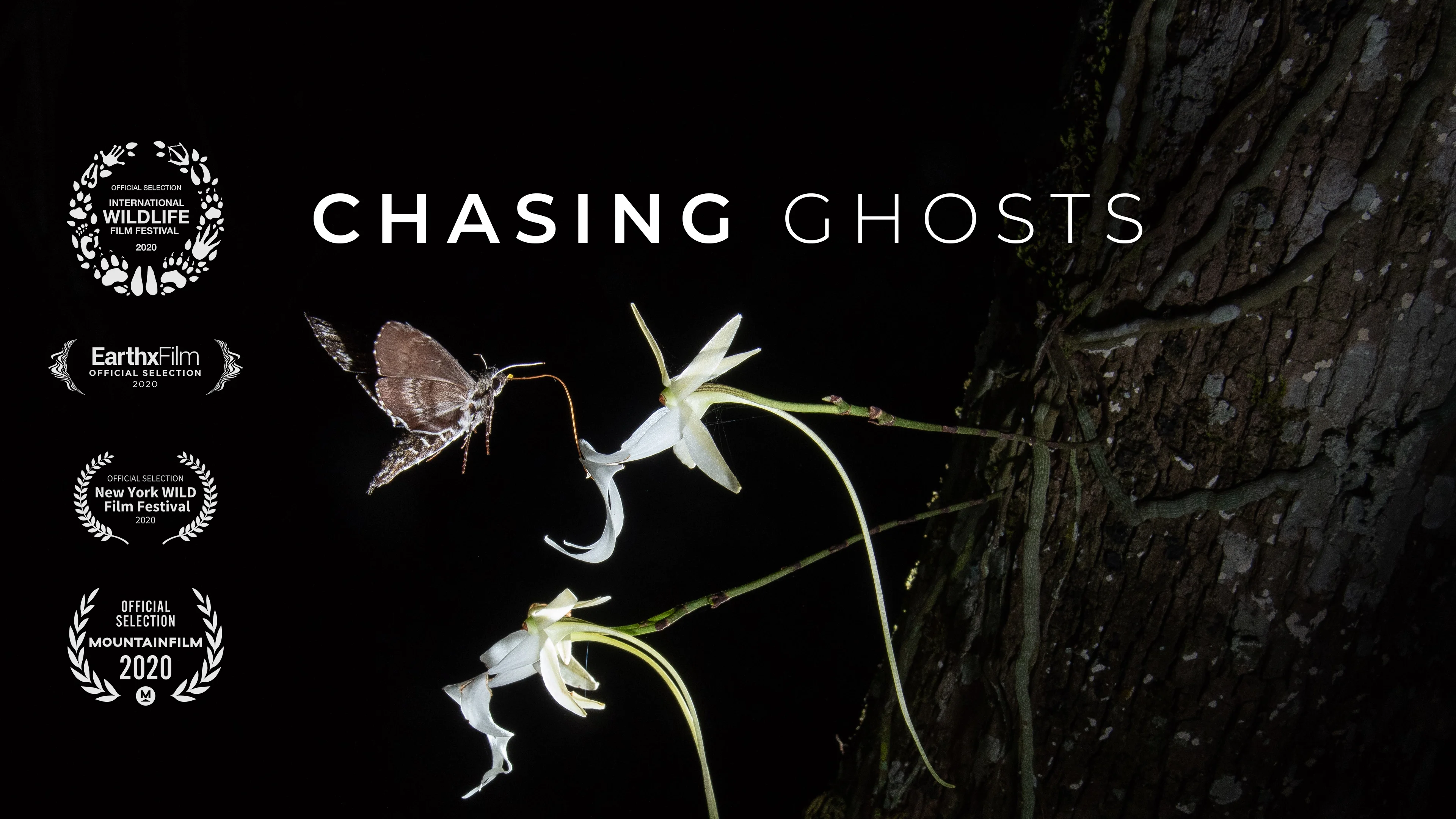 Chasing ghosts