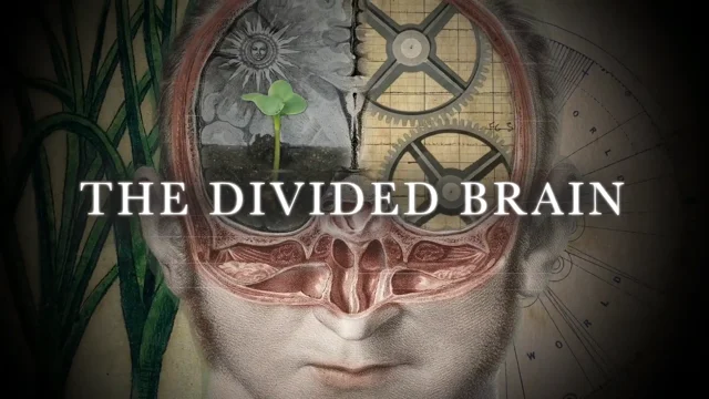 Docuseek  The Divided Brain