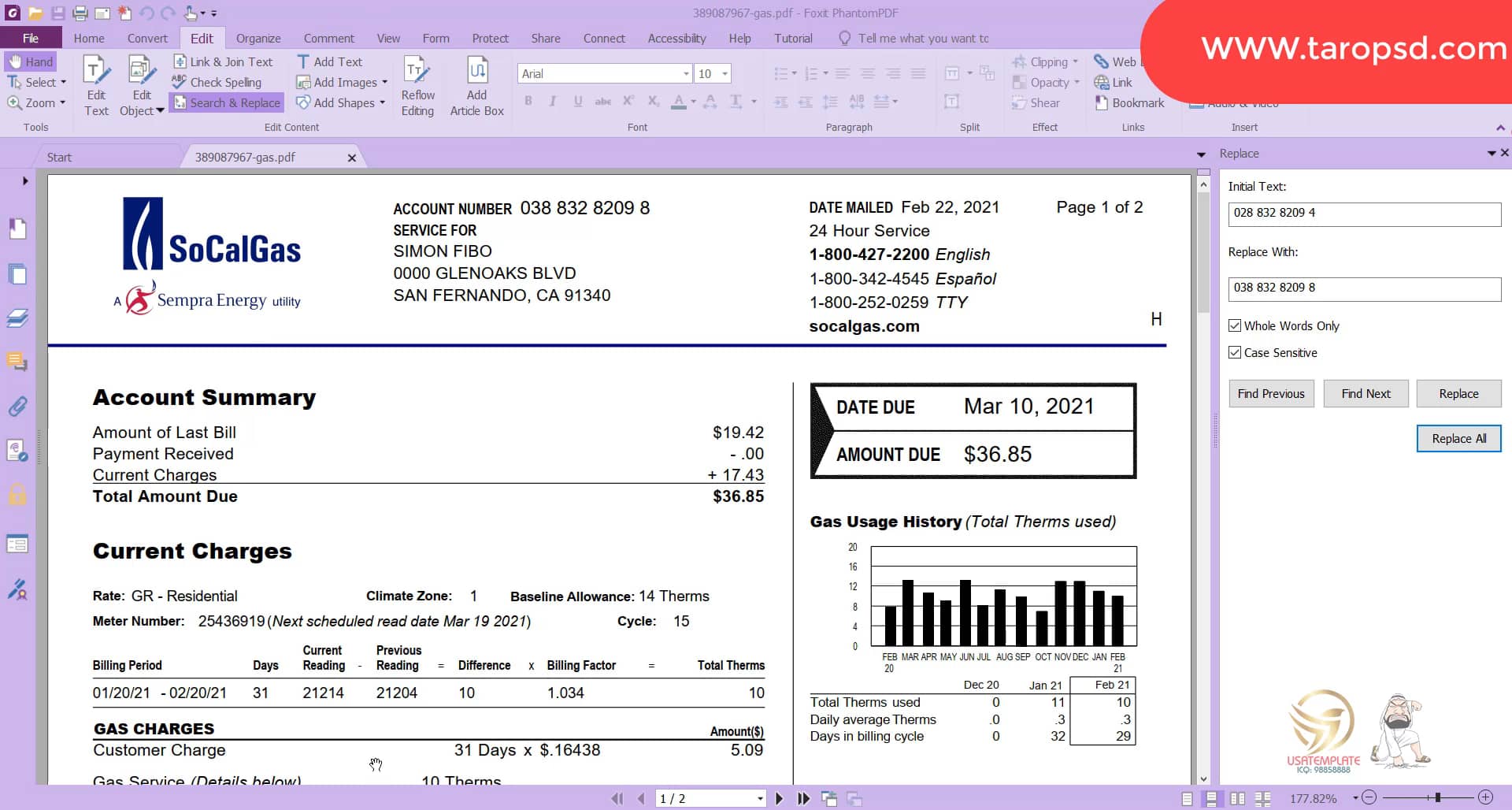 Socalgas Bill Template