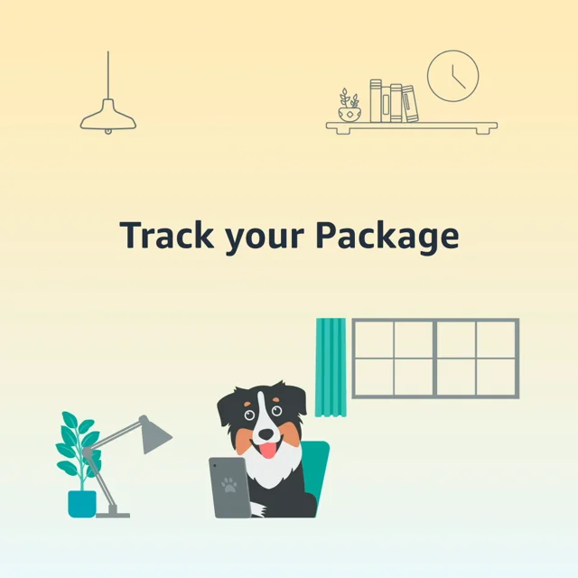 Missing  Package -  Customer Service