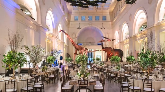 Video Tour: Field Museum Event Spaces