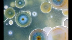Encapsulation