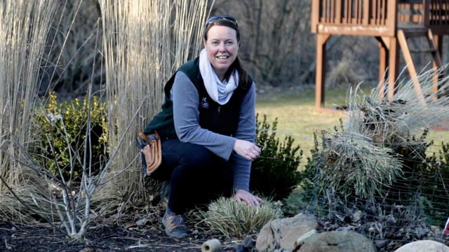Ornamental Grasses – Spring Pruning