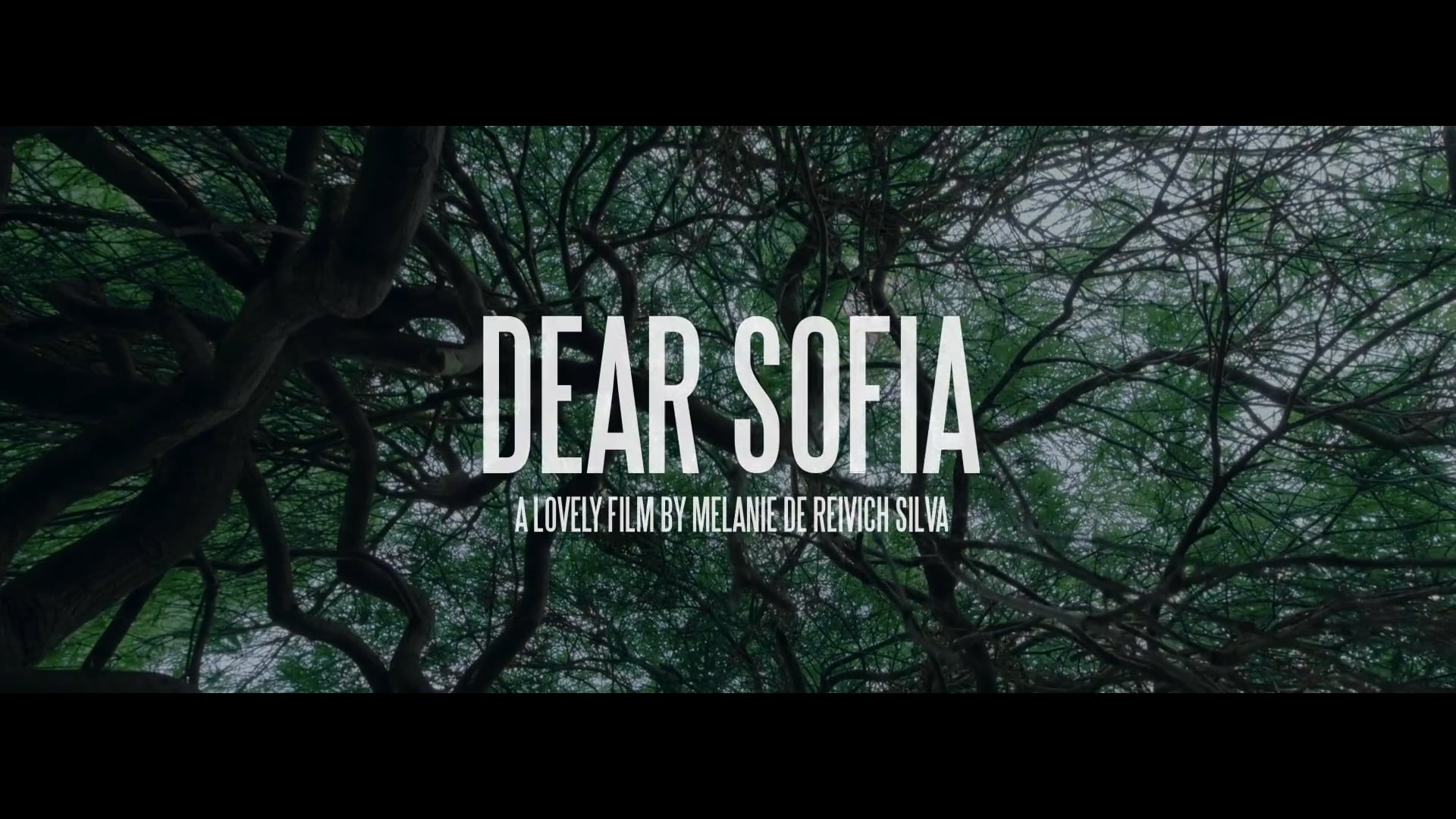 DEAR SOFIA - TEASER 1