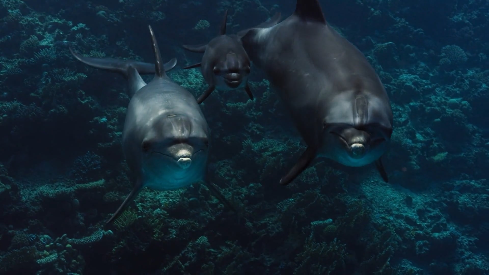 UNIFY Oceans