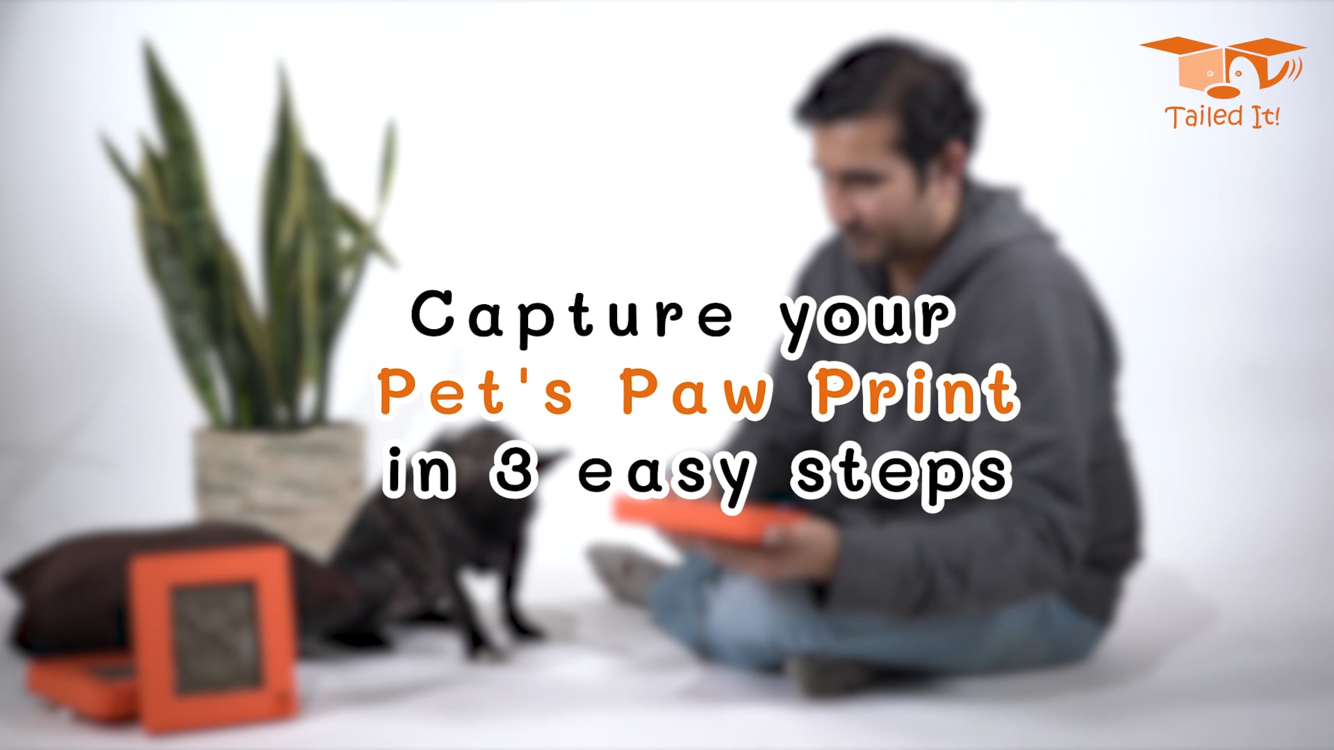 Paw Print Box