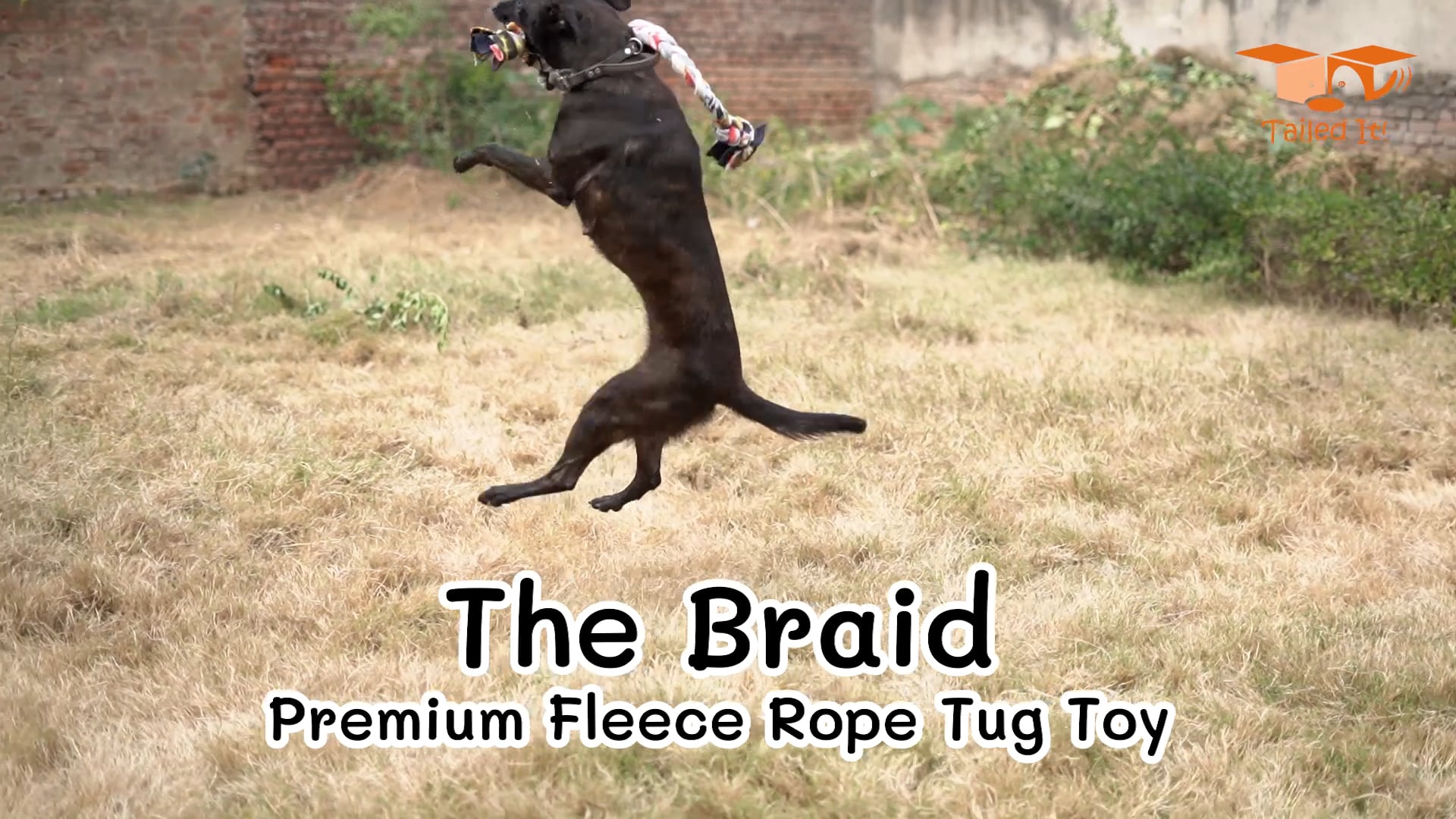 The Braid - Premium Fleece Rope Tug Toy