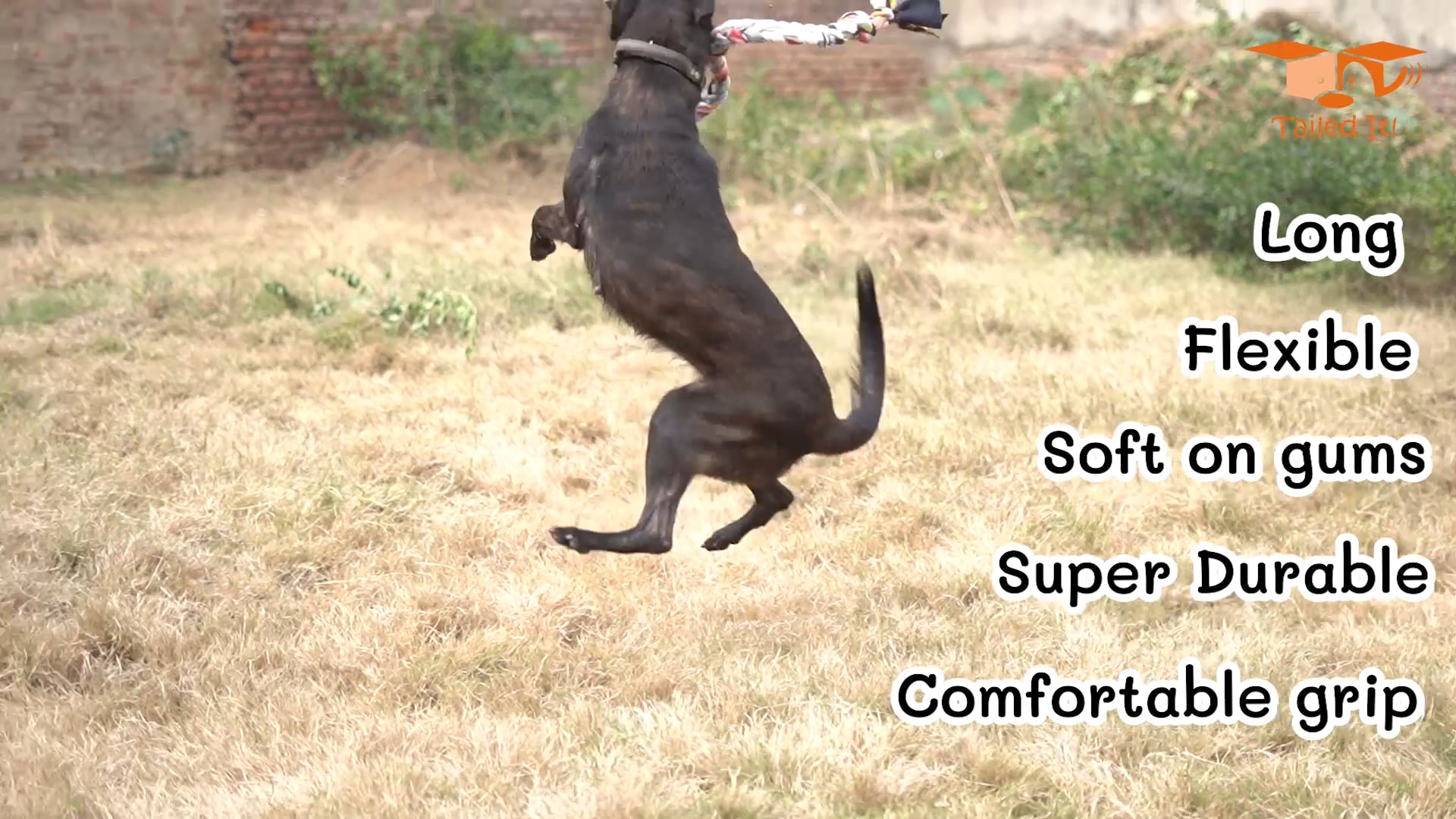 The Braid - Tailed It