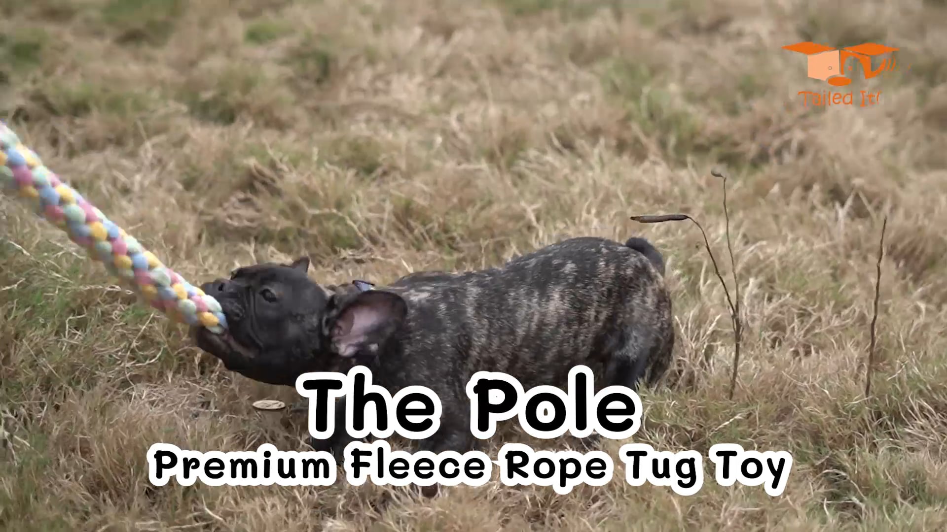 The Pole - Premium Fleece Rope Tug Toy