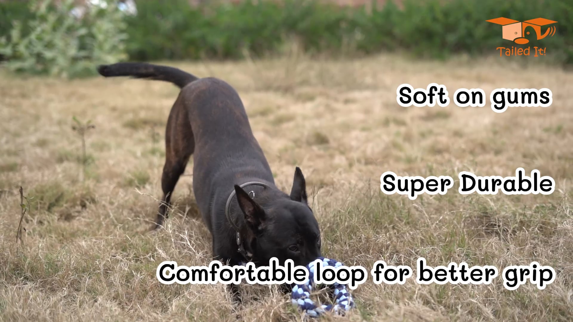 The Loop- Premium Fleece Rope Tug Toy