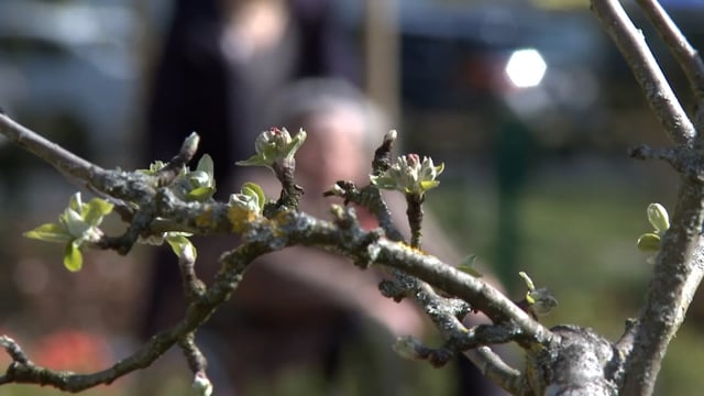 Entlastungsbetrag kommt bei den Betroffenen nicht an