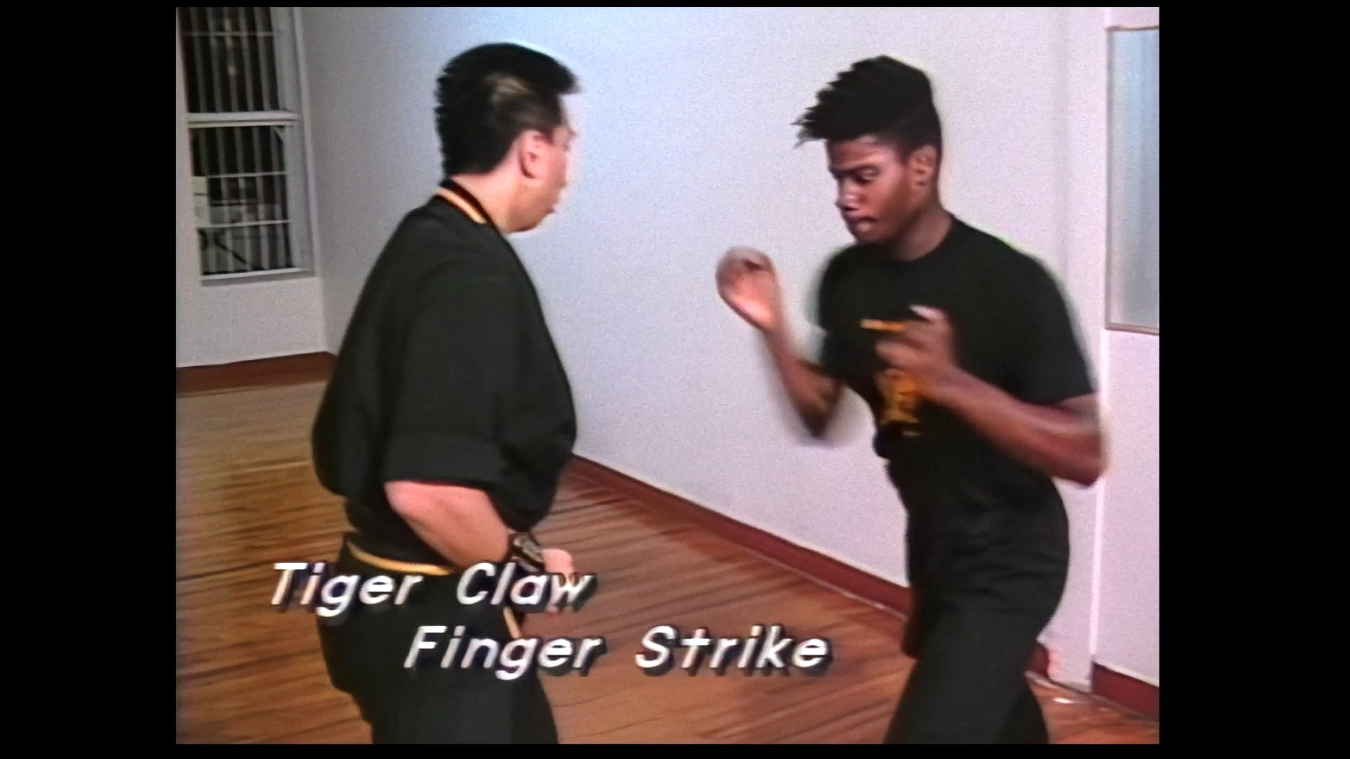 Watch Tiger Claw Kung Fu 3 Tiger Claw Chi Kung Tiger And Crane 2