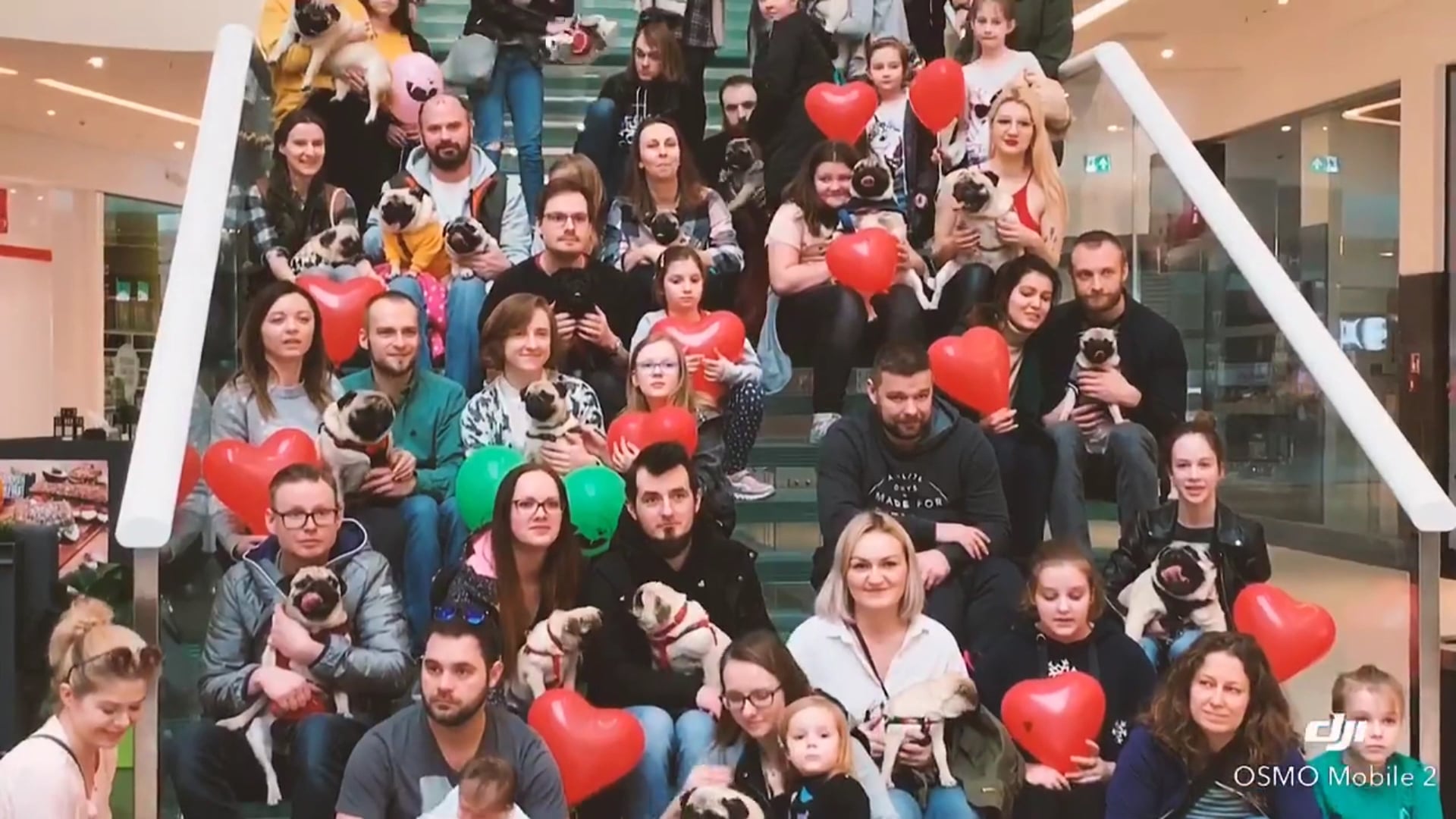 mops 1s.mp4 on Vimeo