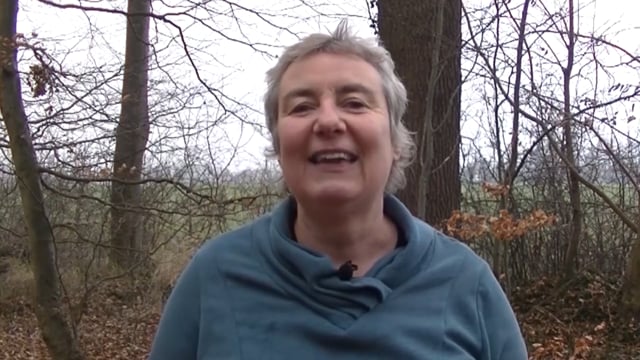 Berührung - Deine Forschungsreise