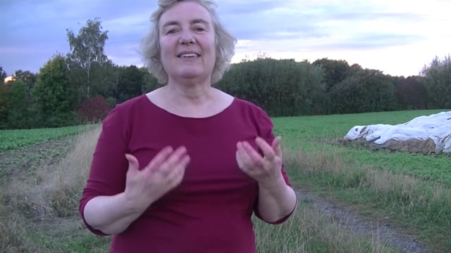 Das Ampelspiel für 1 Person