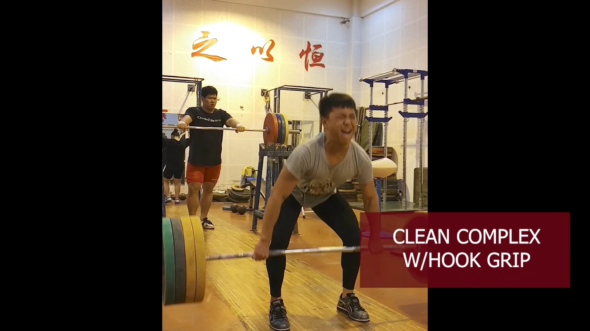 Circuit Workout Powerlike Total Body Workout Reviews How To