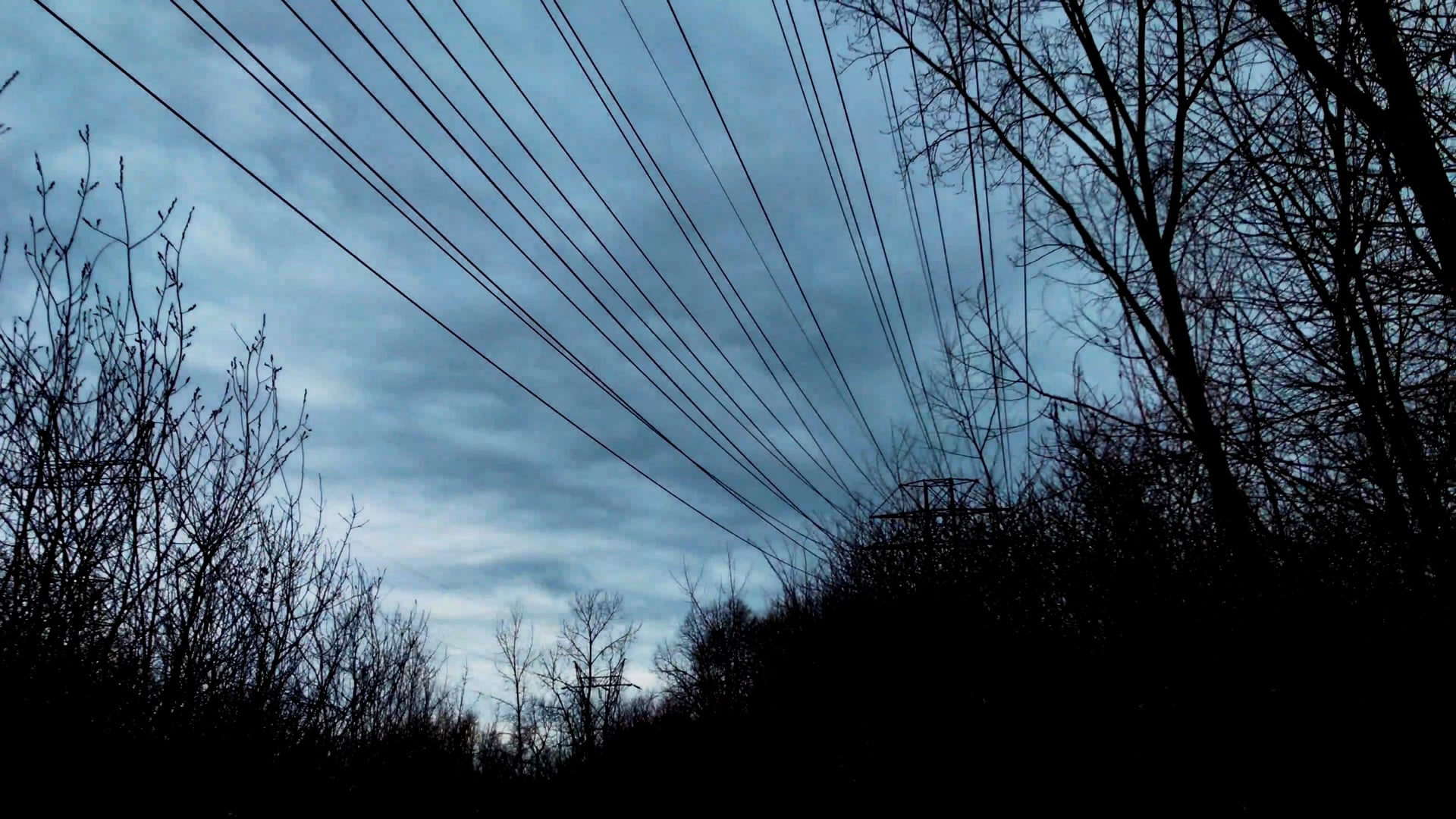 My Mother, A Late Alienated Painter