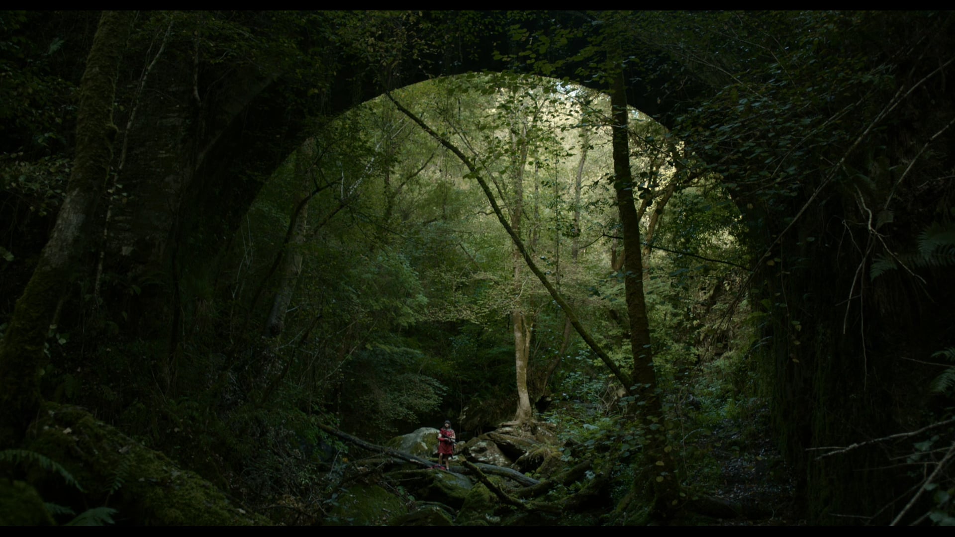 Out of the Realms - A Vivian Girl Story