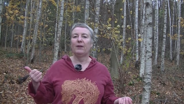 Empathie und Berührung - Einleitung