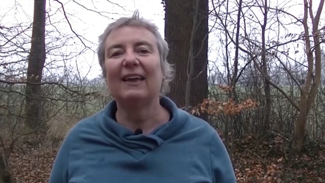 Deine Ziele und Wünsche - jetzt