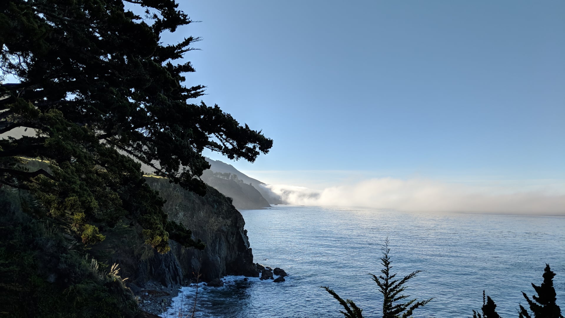 2021 March 30: Re-appearance of Mindfulness