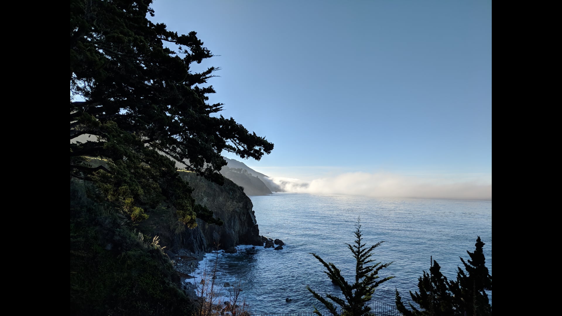 2021 March 30: Re-appearance of Mindfulness