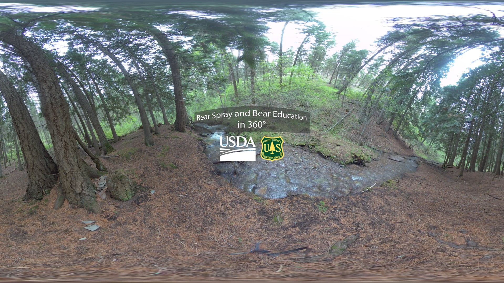 Bear Spray and Bear Education Training in 360